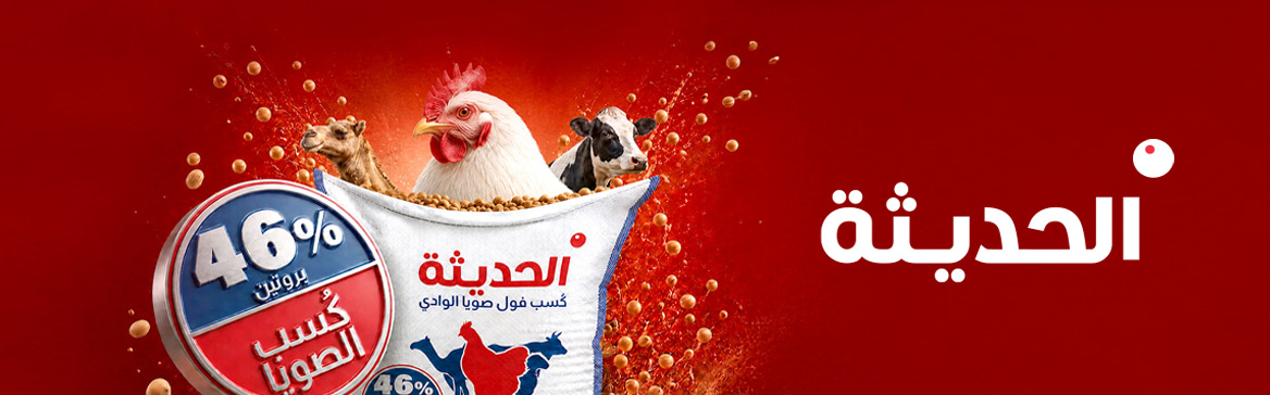الحديثة
